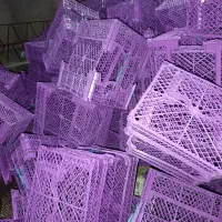 سبد میوه 5کیلویی مواد نو درجه یک|عمده‌فروشی|شیراز, گویم|دیوار