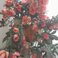 گل مصنوعی|گل مصنوعی|کرج, اصفهانی‌ها|دیوار