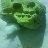 نسخه سنگی|کلکسیون اشیاء عتیقه|شراء, |دیوار