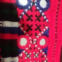 دوچگر پلیوار هستم