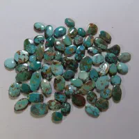 پک های  فیروزه نیشابوری