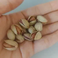 پسته خشک دامغان