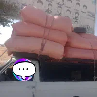 کاه ابی درجه یک
