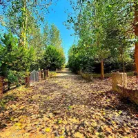 دوبلکس دنج ترین سر سبزترین مبله فقط پول زمینشه|فروش خانه و ویلا|رویان, |دیوار