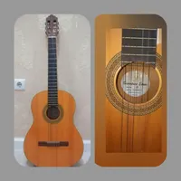 گیتار برندمشهور سیگنچر Signature series با کاور