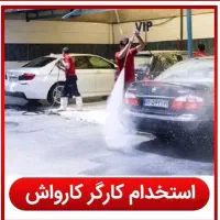 استخدام نیروی کار در کارواش