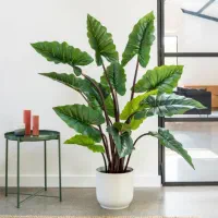 هدیه روز مادر لوستر و گل کنارسالنی زیرقیمت بازار|لوستر و چراغ آویز|یزد, |دیوار