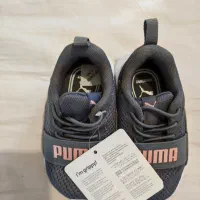 کفش نو پسرانه خارجی اصل puma|کفش و لباس بچه|تهران, ازگل|دیوار
