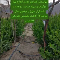 نهالستان کشاورز