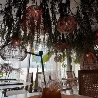 استخدام دستیار براشینگ و کوپ