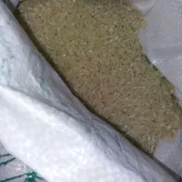 برنج لنجون زرین شهر|خوردنی و آشامیدنی|اصفهان, شاهزاده ابراهیم|دیوار
