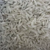 برنج وگردو لرستان