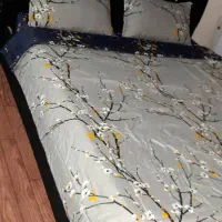 تخت دونفره باتشک