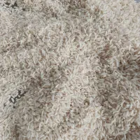 فروش برنج هاشمی