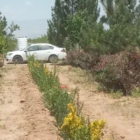 باغچه1500متری سنددار،آببرق،سهیلیه،زعفرانیه،کردان|فروش زمین و ملک کلنگی|کرج, فاز ۲ مهرشهر|دیوار
