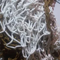 تورسالن|ورزشهای توپی|اهواز, کوروش|دیوار