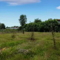 زمین مسکونی به مساحت ۷۸۰ متر ابتدای جاده فومن|فروش زمین و ملک کلنگی|رشت, پسیخان|دیوار