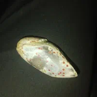 سنگ|کلکسیون و سرگرمی|کازرون, |دیوار