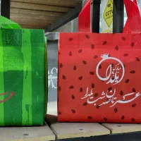 بگ یلدایی|کیف، کفش، کمربند|تهران, سیروس|دیوار