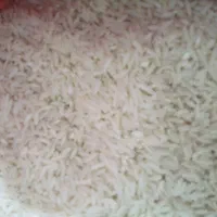 برنج هاشمی شفت|خوردنی و آشامیدنی|رشت, حمیدیان|دیوار