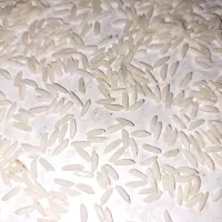 فروش برنج|خوردنی و آشامیدنی|طارم, |دیوار