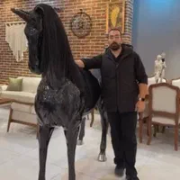 اسب بزرگ لوکس و مدرن اندازه اسب طبیعی|مجسمه، تندیس، ماکت|تهران, خاوران|دیوار