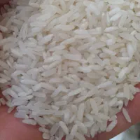 برنج هاشمی اعلا استانه اشرفیه صد درصد محلی