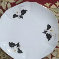 بشقاب بزرگ چینی|ظروف سرو و پذیرایی|تهران, مینابی|دیوار