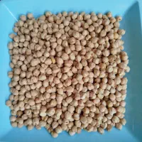 فروش انواع حبوبات مرغوب بصورت عمده و جزئی|عمدهفروشی|گنبد کاووس, |دیوار