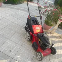 چمن زن
