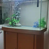 آکواریوم حرفه ای