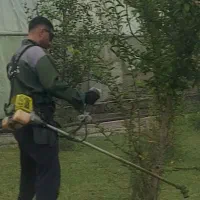 خدمات فضای سبز از صفر تا صد|خدمات باغبانی و درختکاری|بندر انزلی, گلسرخ|دیوار