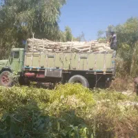 ۳۱ هکتار زمین کشاورزی جهت فروش