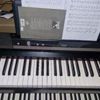 پیانو کرگ sp170s