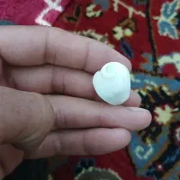 سنگ سفید حلزونی