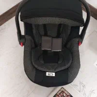 کریر و کالسکه دلیجان|کالسکه و لوازم جانبی|رباط‌کریم, رباط‌کریم|دیوار