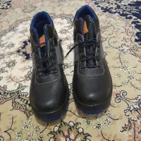 کفش نو|کیف، کفش، کمربند|اردبیل, |دیوار