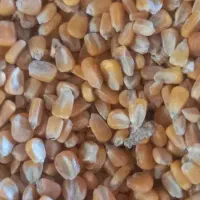 استخدام اوپراتور دستگاه پلت