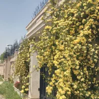 باغ ویلا مسکونی ۷۰۰ متری ۷۰ متر بنا اب برق گاز