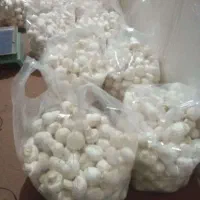 دوره آموزشی تکثیر و پرورش قارچ خوراکی|خدمات آموزشی|مشهد, احمدآباد|دیوار