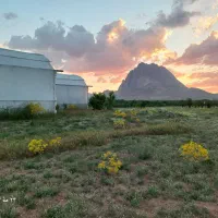 فروش زمین گلخانه( باغ )|فروش دفتر صنعتی، کشاورزی، تجاری|نجف‌آباد, امام خمینی|دیوار