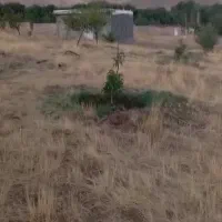 یک باغ به مساحت 0.75 کیلومتر