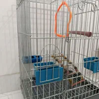 قفس کاسکویی درجه یک زیر قیمت