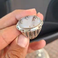 انگشتر شجر قائنات دوقاب|جواهرات|مرودشت, ثبت احوال|دیوار