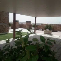 فروش کلنگی