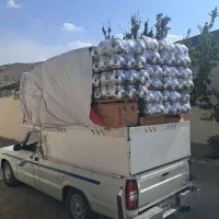 حمل و نقل