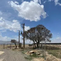 مزرعه کشاورزی و گاوداری با استخر