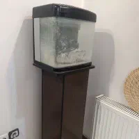 آکواریوم ماهیران