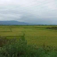 رهن و اجاره۹۰متری مستقل در مطهری آسایشگاه سالمندان|اجارهٔ آپارتمان|لاهیجان, بازکیاگوراب|دیوار