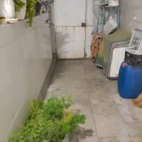 یک باب منزل دستخضر کوچه ۱۳ /۸|فروش خانه و ویلا|شیراز, دست خضر|دیوار